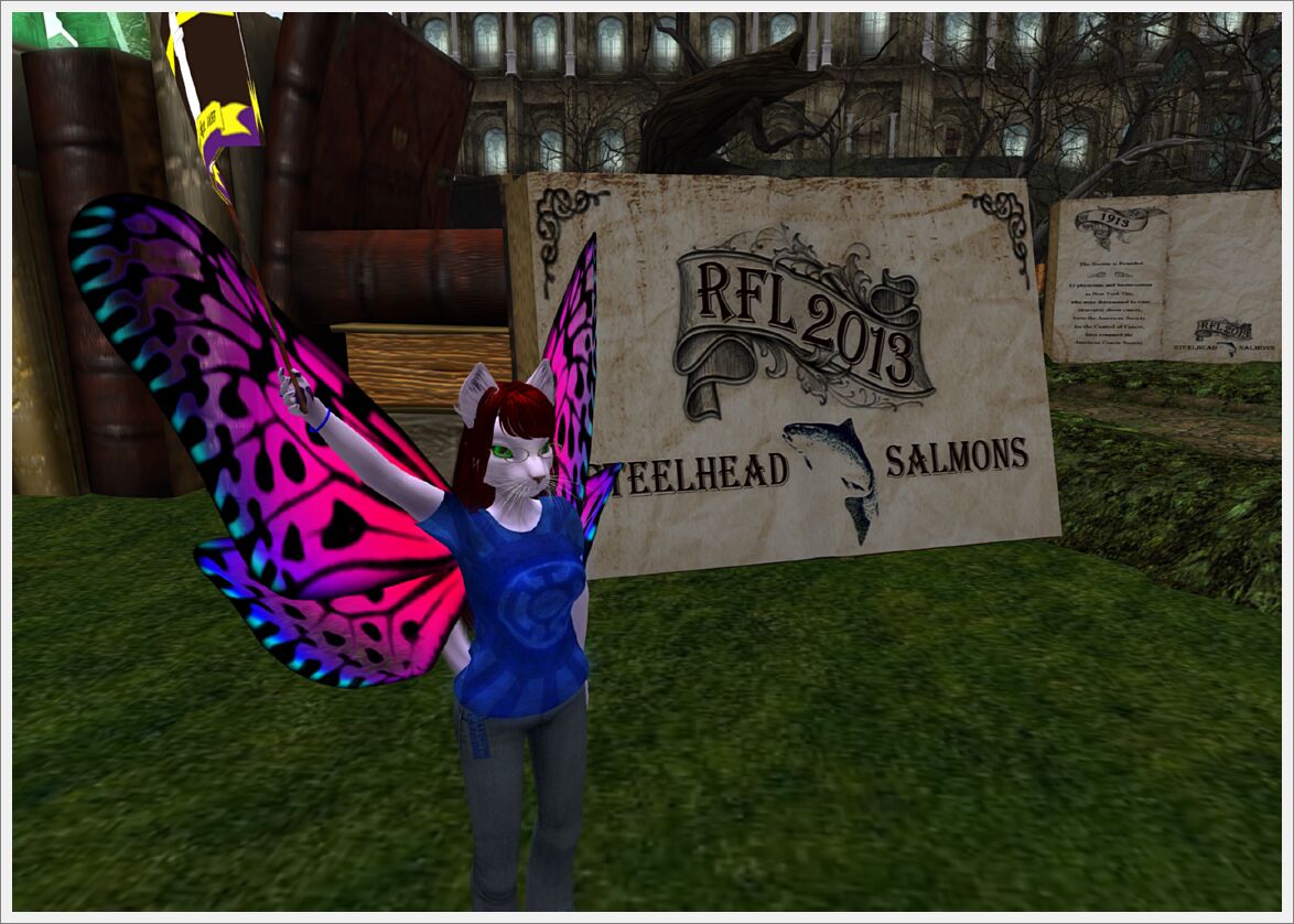Relay For Life 2013  (2)
